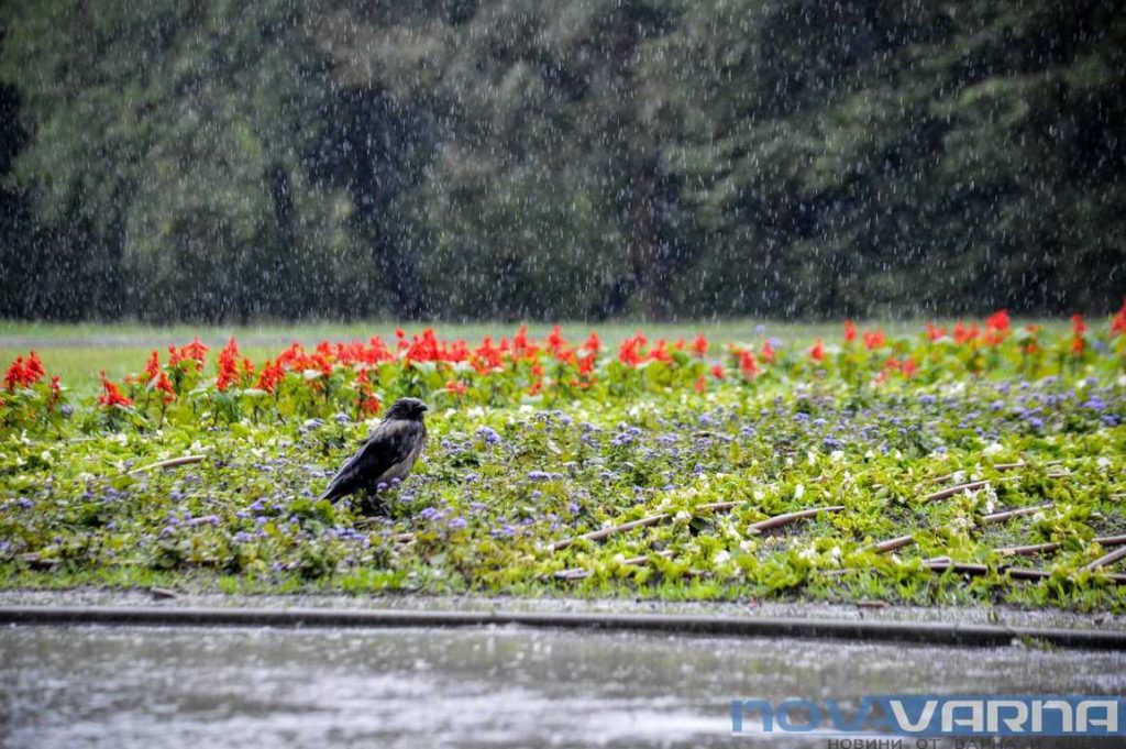 Средиземноморски циклон нахлува за Великден. Ще вали ли сняг