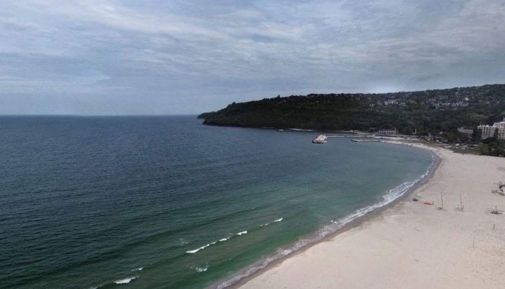 Масова смърт на морски видове в Северното Черноморие — учените търсят причина