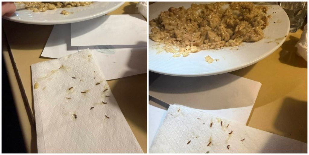 „Спокойно, сготвени са“: Клиент във Варна откри ларви в ризотото си в ресторант