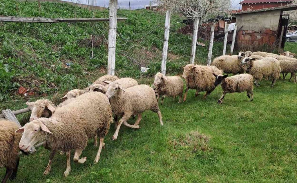 БАБХ установи сериозни нарушения