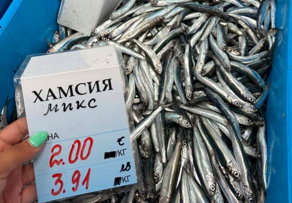 Черноморска деликатес на достъпна цена в Каварна