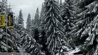 целият район пропадна и отряза пътя между Смолян и Пампорово.