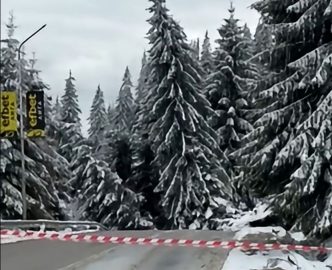 целият район пропадна и отряза пътя между Смолян и Пампорово.